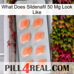 What Does Sildenafil 50 Mg Look Like 26